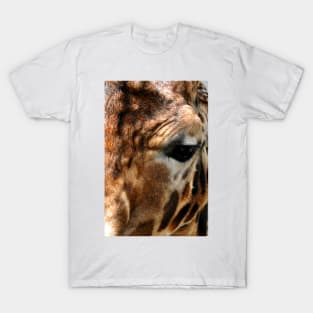 African Giraffe Amelopardalis Giraffa T-Shirt